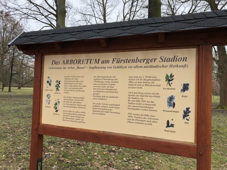 Arboretum Eisenhüttenstadt dank der Grünen wieder in den Fokus gerückt